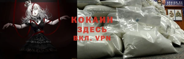 ГАЛЛЮЦИНОГЕННЫЕ ГРИБЫ Белокуриха