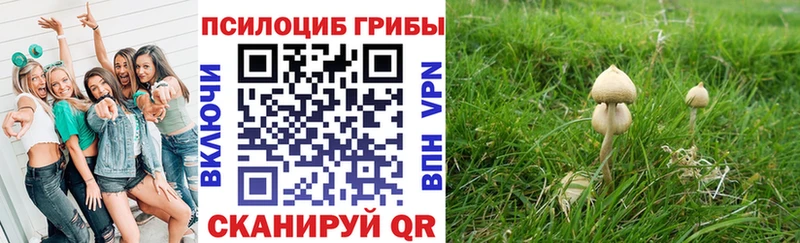 Галлюциногенные грибы GOLDEN TEACHER  Купить где  Красный Холм 